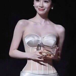 Perfect Corset Nude Sheer Bustier Corset Top NWT Size L Lace-Up Boned Strapless